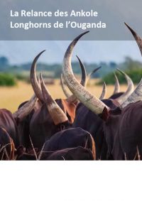 la-relance-des-ankole la-relance-des-ankole