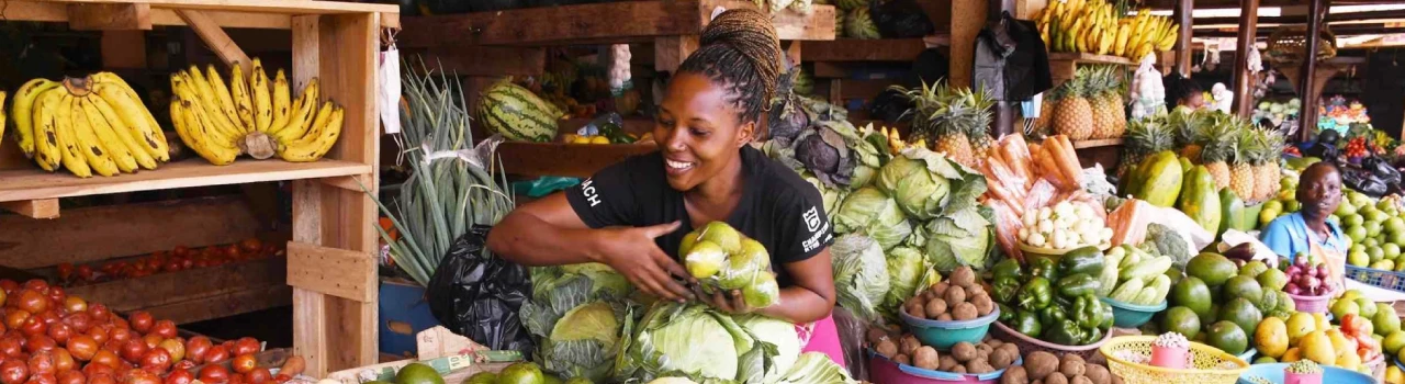 Agroecological entreprenuers