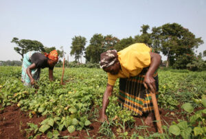 bold-future-of-farming