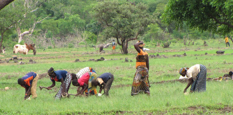 Conférence au Cameroun