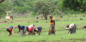Cameroon conference