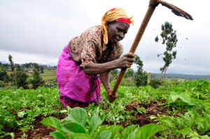 strengthening-land-rights