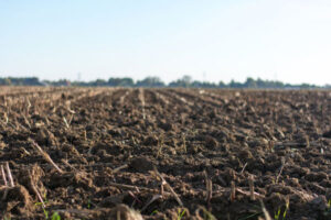 land-rights