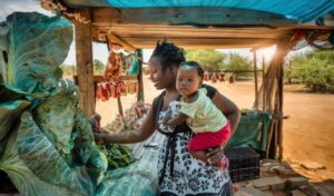 Marchés alimentaires territoriaux