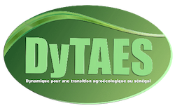 DYTAES 250