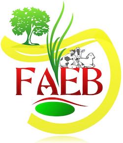 FAEB-LOGO 250